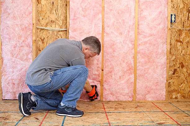 Best Insulation Installation Services in Dayton, NV