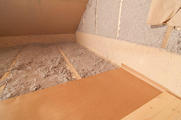 Best Insulation Installation Services in Dayton, NV