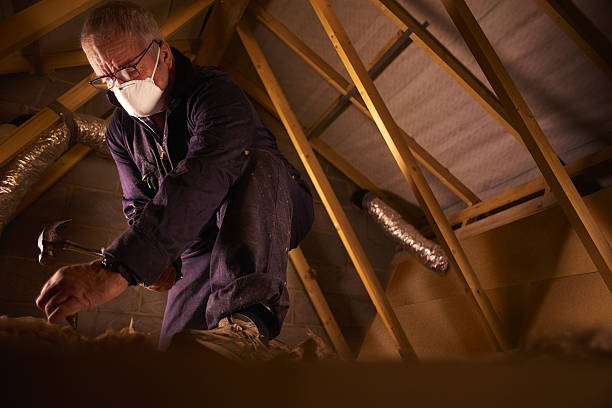 Best Insulation Installation Services in Dayton, NV